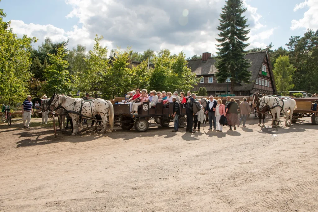 Kutschfahrten Undeloh Lüneburger Heide