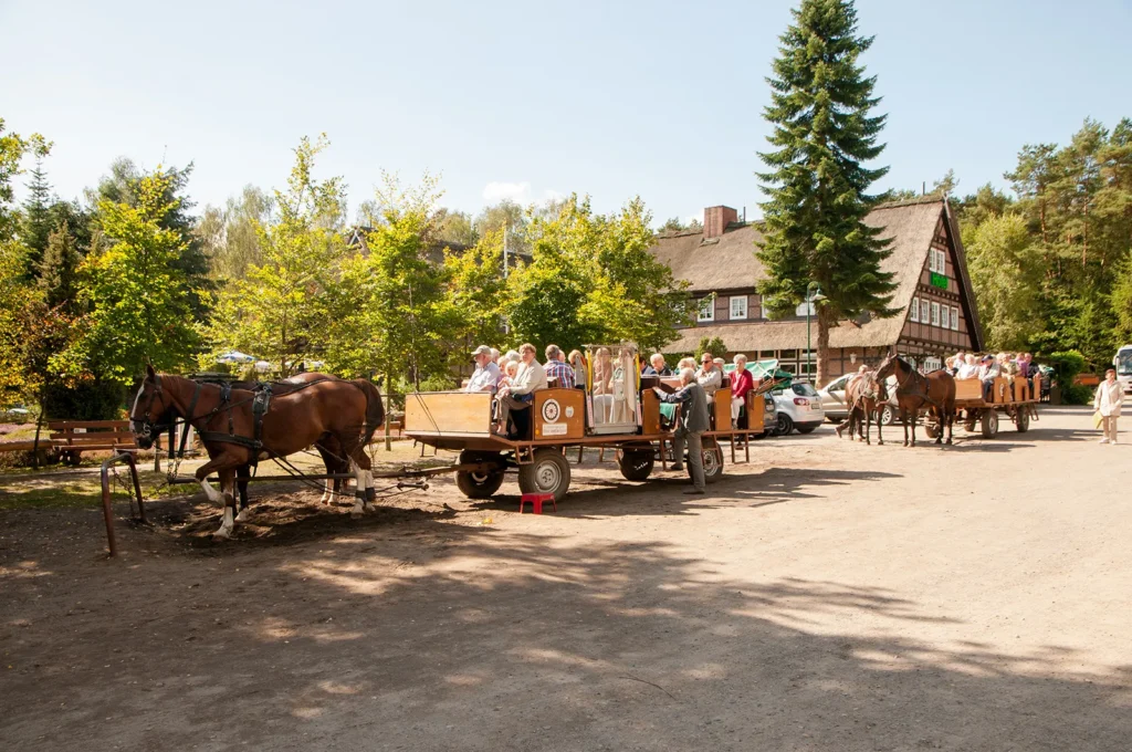Kutschfahrten Undeloh Lüneburger Heide